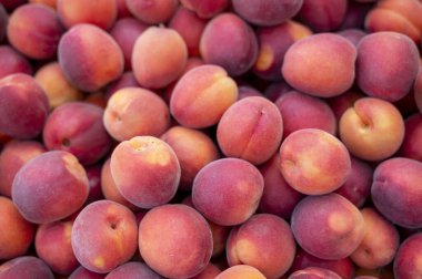 Markette küçük olgun şeftaliler. Yüksek kalite fotoğraf