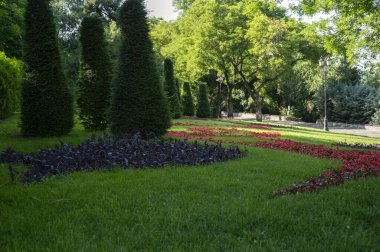 Bir grup halinde büyüyen parkın, çimenlerin ve selvi ağaçlarının resimli görüntüsü. İngiliz tarzında güzel bir bahçe, yeşil çimenli, yaprak döken ağaçlar ve renkli çiçeklerle süslenmiş.