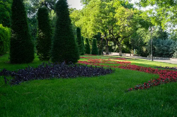 Bir grup halinde büyüyen parkın, çimenlerin ve selvi ağaçlarının resimli görüntüsü. İngiliz tarzında güzel bir bahçe, yeşil çimenli, yaprak döken ağaçlar ve renkli çiçeklerle süslenmiş.