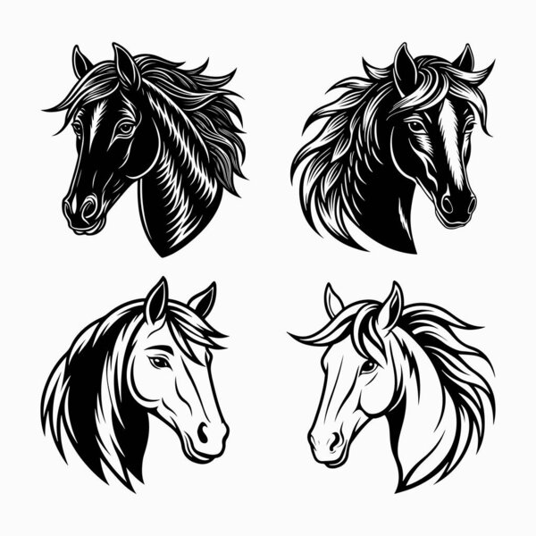 majestic black and white horse illustration vector art, bold and elegant