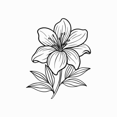 Beyaz arkaplanda bir çiçeğin zarif siyah silueti