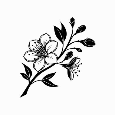 Beyaz arkaplanda siyah bir çiçeğin zarif siyah silüeti