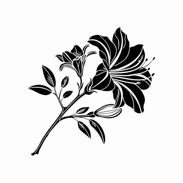 Beyaz arkaplanda siyah bir çiçeğin zarif siyah silüeti