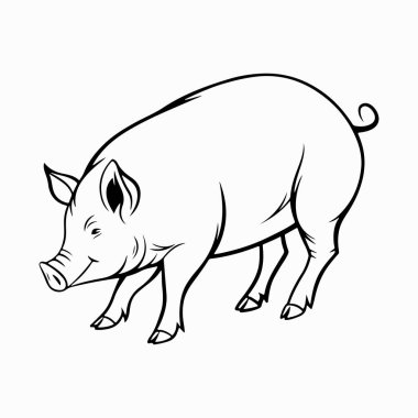 Yorkshire domuz vektör sanat çizimi beyaz arka planlı