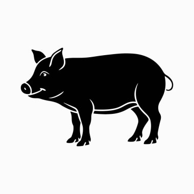 Yorkshire domuz vektör sanat çizimi beyaz arka planlı