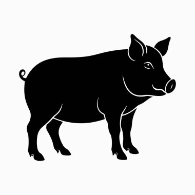 Yorkshire domuz vektör sanat çizimi beyaz arka planlı