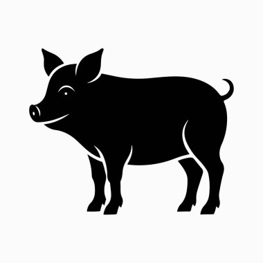 Yorkshire domuz vektör sanat çizimi beyaz arka planlı