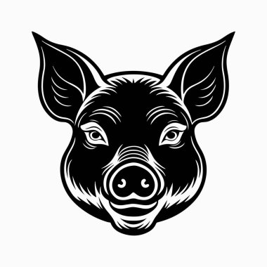 Yorkshire domuz vektör sanat çizimi beyaz arka planlı