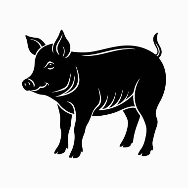 Yorkshire domuz vektör sanat çizimi beyaz arka planlı