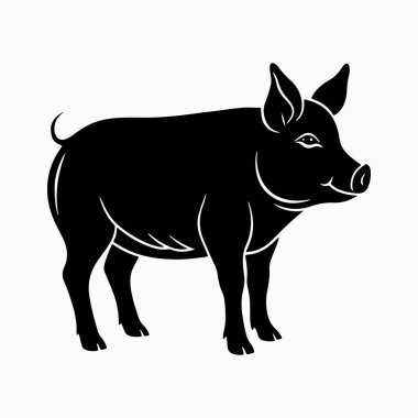 Yorkshire domuz vektör sanat çizimi beyaz arka planlı