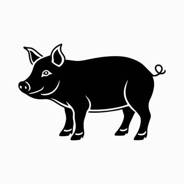 Yorkshire domuz vektör sanat çizimi beyaz arka planlı