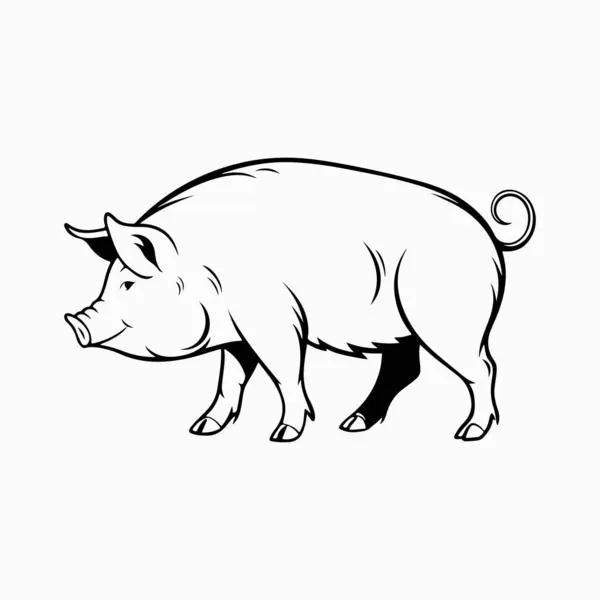 Yorkshire domuz vektör sanat çizimi beyaz arka planlı