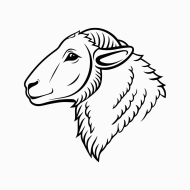 beyaz arkaplan ile merino koyun vektör sanat illüstrasyonu
