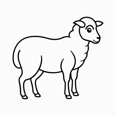 beyaz arkaplan ile merino koyun vektör sanat illüstrasyonu