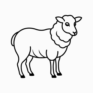 beyaz arkaplan ile merino koyun vektör sanat illüstrasyonu