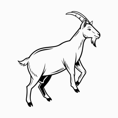 Beyaz arkaplan ile saanen keçi vektör sanat illüstrasyonu