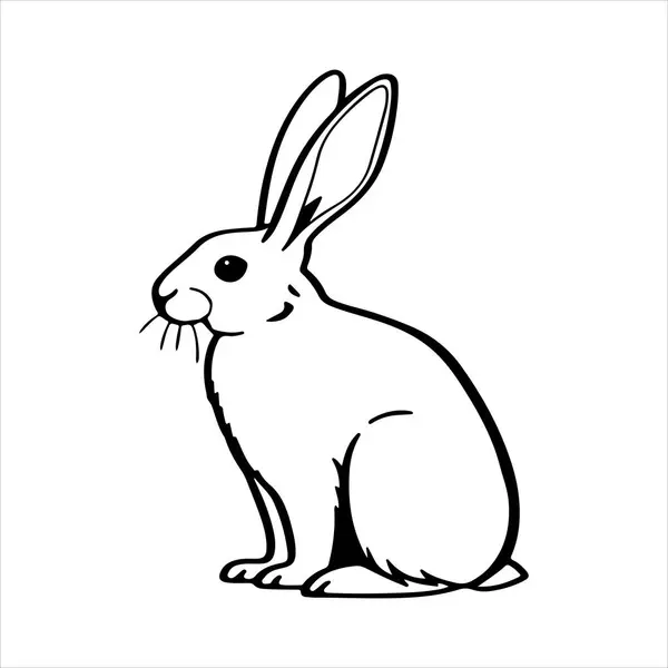 Beyaz arkaplanı olan Amerikan tavşan vektör silueti