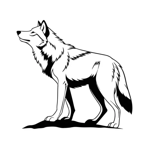 Beyaz arkaplan ile gri kurt silueti sanat çizimi