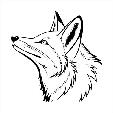 Beyaz arkaplan ile kırmızı tilki vektör sanat çizimi