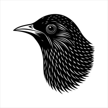 Avrupa sığırcık hattı sanat silueti vektör sanat illüstrasyonu