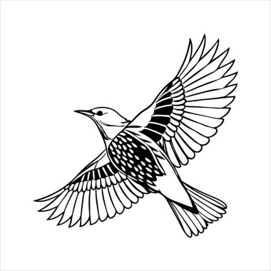 Avrupa sığırcık hattı sanat silueti vektör sanat illüstrasyonu