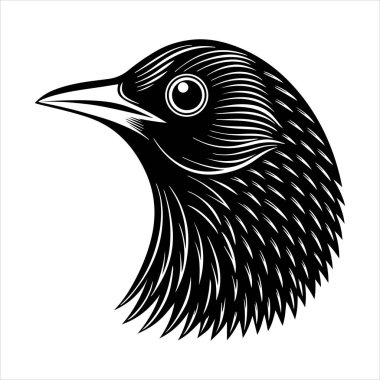 Avrupa sığırcık hattı sanat silueti vektör sanat illüstrasyonu