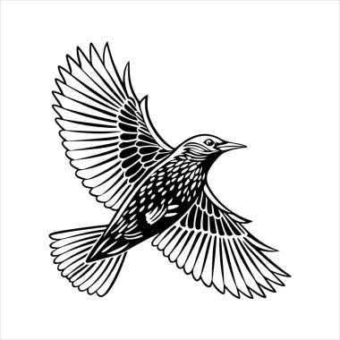 Avrupa sığırcık hattı sanat silueti vektör sanat illüstrasyonu