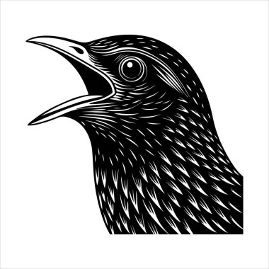 Avrupa sığırcık hattı sanat silueti vektör sanat illüstrasyonu