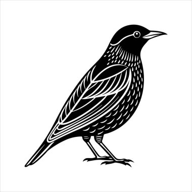 Avrupa sığırcık hattı sanat silueti vektör sanat illüstrasyonu