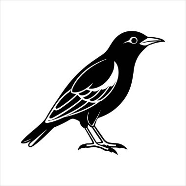 Avrupa sığırcık hattı sanat silueti vektör sanat illüstrasyonu