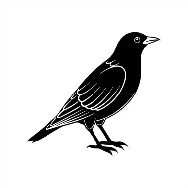 Avrupa sığırcık hattı sanat silueti vektör sanat illüstrasyonu