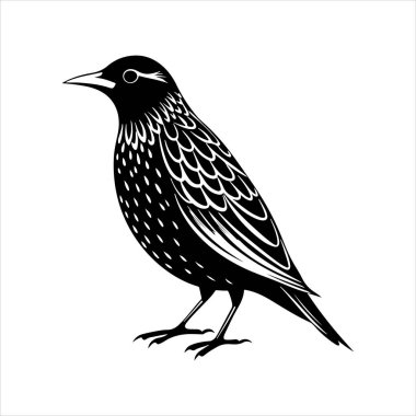 Avrupa sığırcık hattı sanat silueti vektör sanat illüstrasyonu