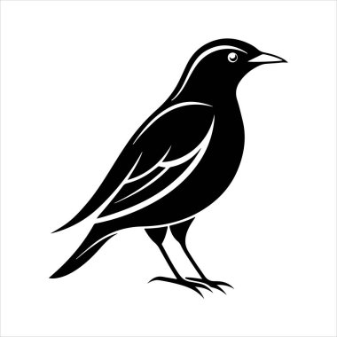 Avrupa sığırcık hattı sanat silueti vektör sanat illüstrasyonu