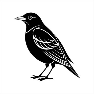 Avrupa sığırcık hattı sanat silueti vektör sanat illüstrasyonu