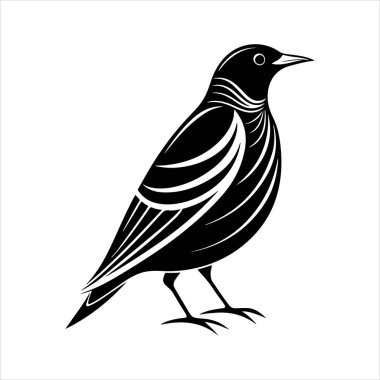 Avrupa sığırcık hattı sanat silueti vektör sanat illüstrasyonu