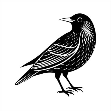 Avrupa sığırcık hattı sanat silueti vektör sanat illüstrasyonu