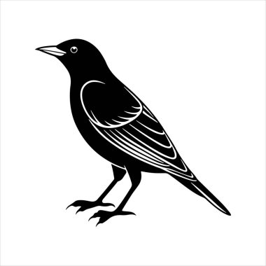 Avrupa sığırcık hattı sanat silueti vektör sanat illüstrasyonu