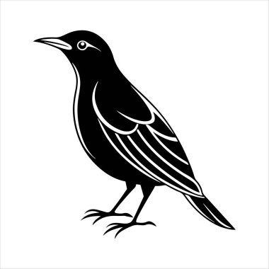 Avrupa sığırcık hattı sanat silueti vektör sanat illüstrasyonu