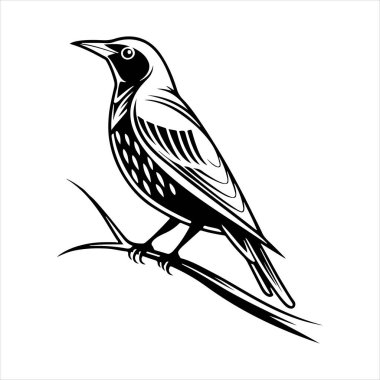 Avrupa sığırcık hattı sanat silueti vektör sanat illüstrasyonu