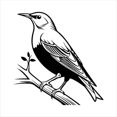 Avrupa sığırcık hattı sanat silueti vektör sanat illüstrasyonu