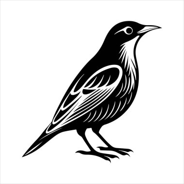 Avrupa sığırcık hattı sanat silueti vektör sanat illüstrasyonu