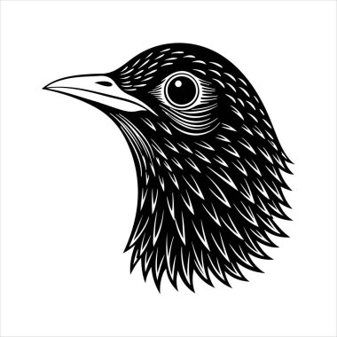 Avrupa sığırcık hattı sanat silueti vektör sanat illüstrasyonu