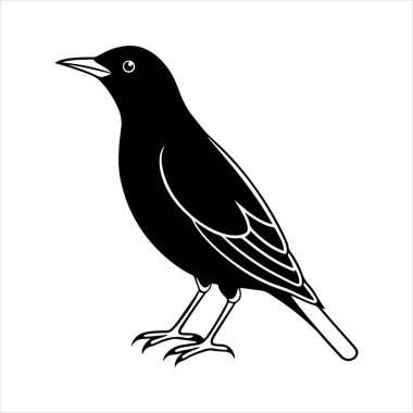 Avrupa sığırcık hattı sanat silueti vektör sanat illüstrasyonu