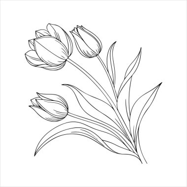 Beyaz arkaplanı olan lale çiçeği silueti vektörü