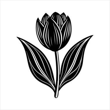 Beyaz arkaplanı olan lale çiçeği silueti vektörü