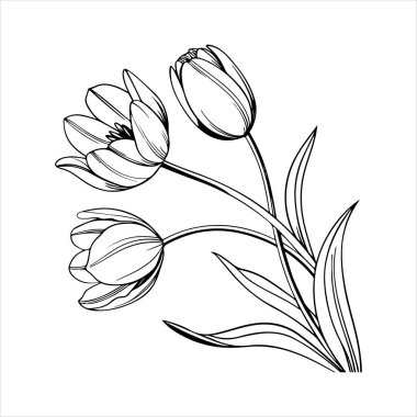 Beyaz arkaplanı olan lale çiçeği silueti vektörü