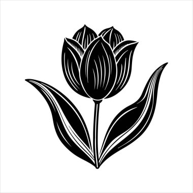 Beyaz arkaplanı olan lale çiçeği silueti vektörü