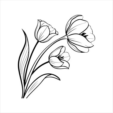 Beyaz arkaplanı olan lale çiçeği silueti vektörü