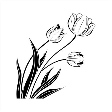Beyaz arkaplanı olan lale çiçeği silueti vektörü