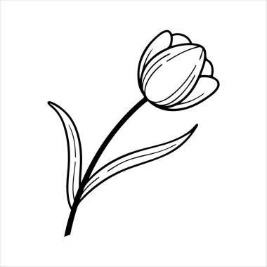 Beyaz arkaplanı olan lale çiçeği silueti vektörü